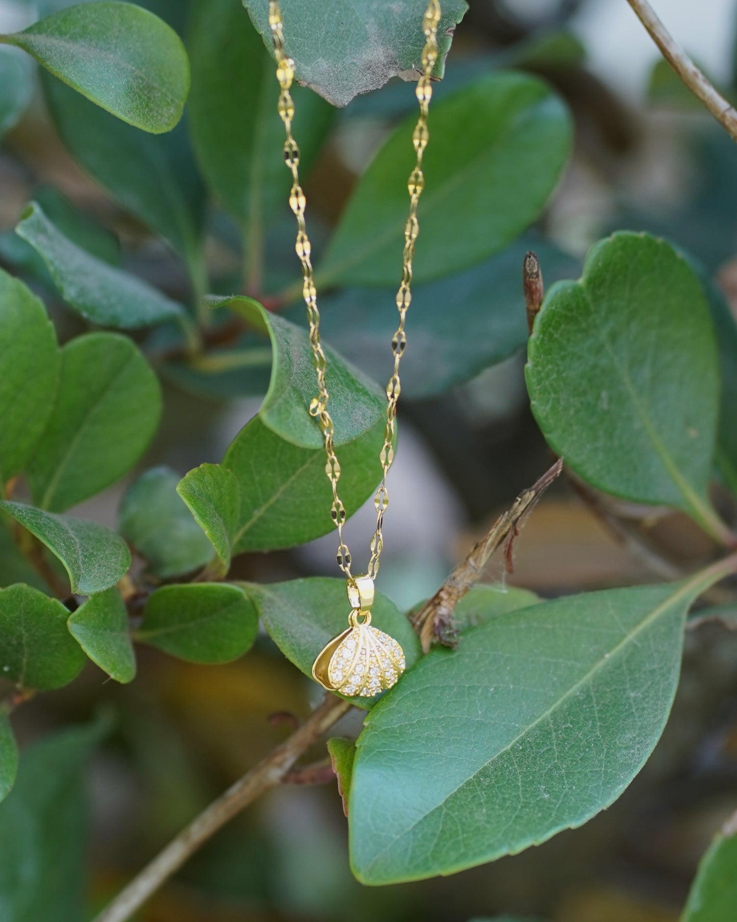 Exquisite Zircon Shell Pearl Pendant Necklace - Gold Clavicle Chain